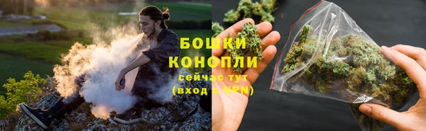 сатива Богородск